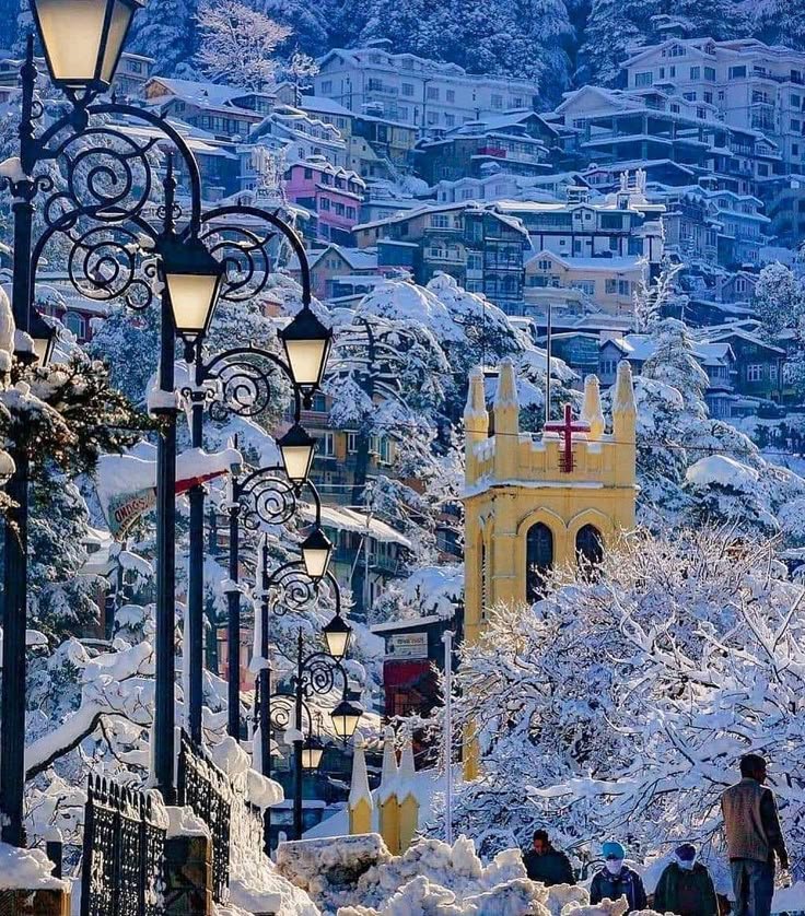Snow-covered Christ Church Shimla surrounded by pine trees and historic street lamps during winter.